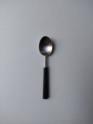 Ctipol Ebony / coffee.tea spoon