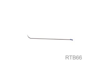 RTB66