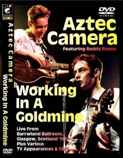 AZTEC CAMERA / WORKING IN A GOLDMINE