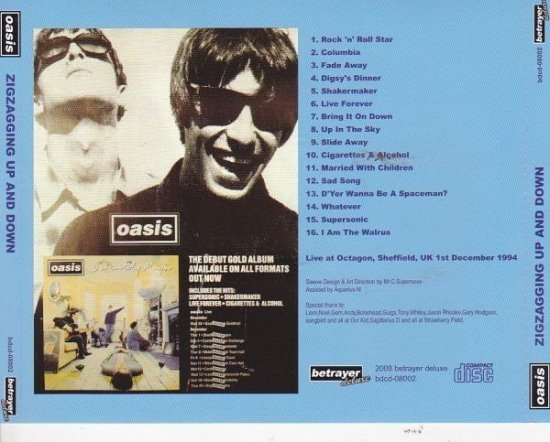 OASIS／ZIGZAGGING UP AND DOWN