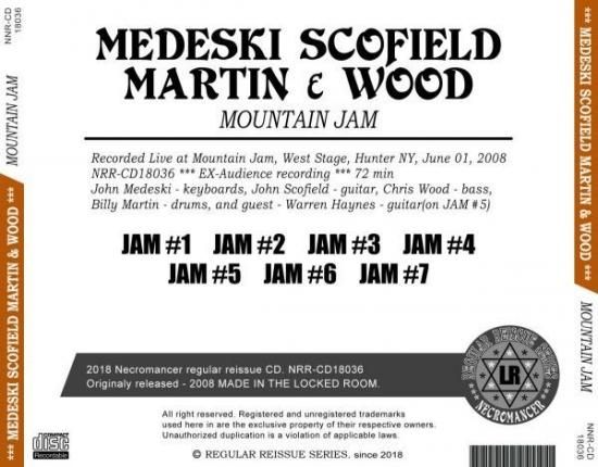 MEDESKI SCOFIELD MARTIN & WOOD / MOUNTAIN JAM