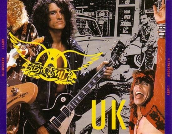 Aerosmith エアロスミス Steven ギターピック Aerosmith エアロスミス Joe Perry 2005 ギターピック