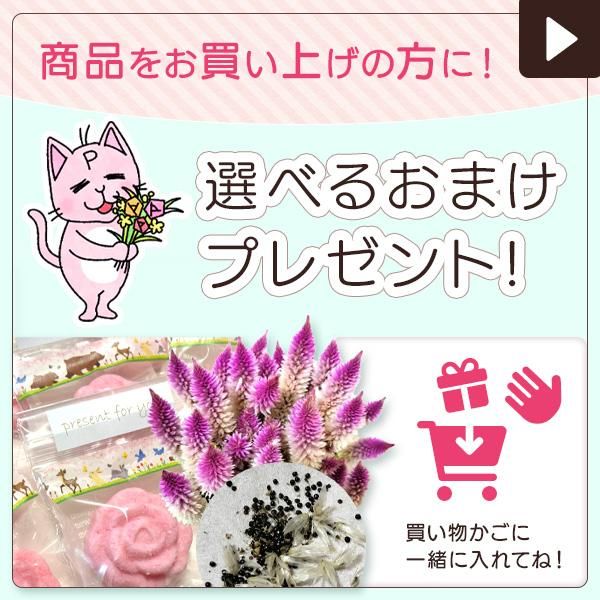 掘り出し物 - ゆうきの園芸ショップ 総合お買い物サイト 掘り出し物 - ゆうきの園芸ショップ 総合お買い物サイト