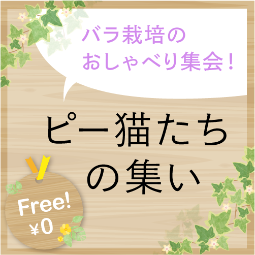 9月25日14時回 ピー猫たちの集い のんびり女子会 ゆうきの園芸ショップ 9月25日14時回 ピー猫たちの集い のんびり女子会 ゆうきの園芸ショップ