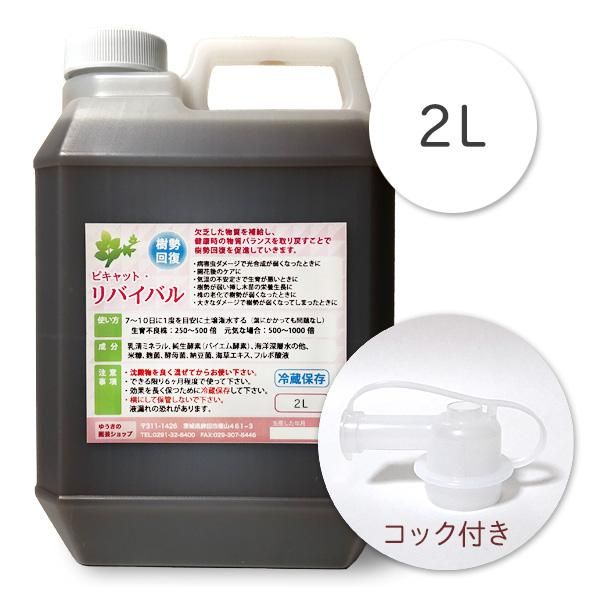 ーキット 2ml [約2ヶ月分] adidas（アディダス）の「ZX 2K ブースト 2.0 [ZX 2K Boost 2.0