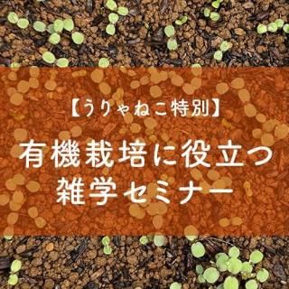 <img class='new_mark_img1' src='https://img.shop-pro.jp/img/new/icons1.gif' style='border:none;display:inline;margin:0px;padding:0px;width:auto;' />̡ͤͭݤΩĻإߥʡ