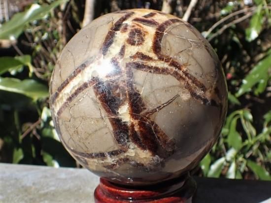 希少 セプタリアン 丸玉 351g 希少 セプタリアン 丸玉 351g