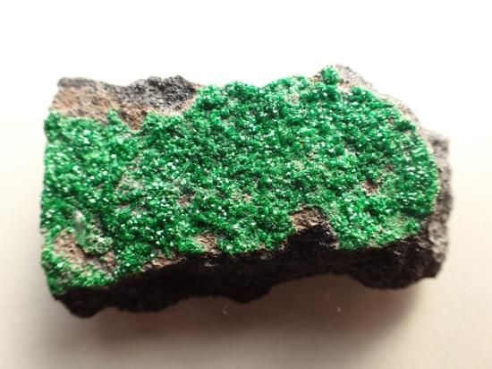 81、ウバロバイトガーネット 39mm/17g ,000→5割引,500