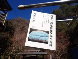 松田出品［極上海中翡翠］糸魚川翡翠 海石 原石 137.1g 書籍・雑貨 - ザ・ストーンズバザール