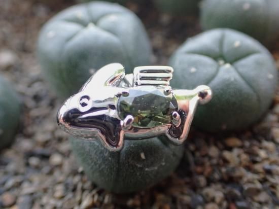 SVアニマル・ペンダント・オラクル（モルダバイト）・2 ,500