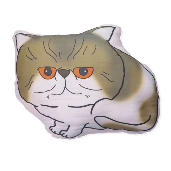 Nyannyan ニャンニャン Exoticshorthair エキゾチックショートヘアー Cushion クッション Bace Nyannyan ニャンニャン Exoticshorthair エキゾチックショートヘアー Cushion クッション Bace