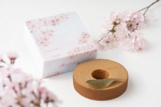【３月４月 限定商品】桜 −さくら−