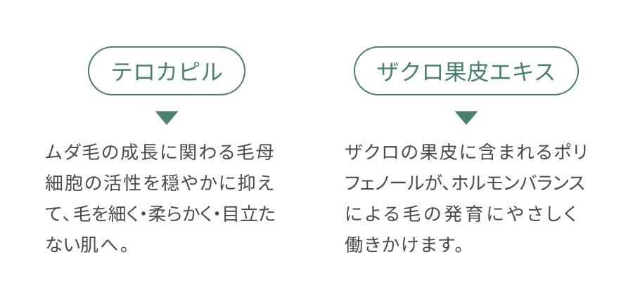 テロカピル ムダ毛の成長に関わる毛母細胞の活性を穏やかに抑えて、毛を細く・柔らかく・目立たない肌へ。 ザクロ果皮エキス ザクロの果皮に含まれるポリフェノールが、ホルモンバランスによる毛の発育にやさしく働きかけます。