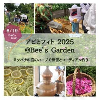 Ԥȥե2025Bees Garden ʥ󥻥Ԥ