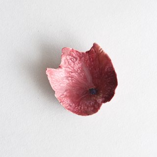 SR37 紫蓮作 leaf豆皿(小)・B