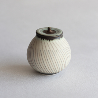 YO21-B عҺƦʪ(ݡĤμФ᥹ȥ饤סˡB