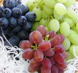 山梨県のぶどう農家の通販39年・ブドウ直送・お取り寄せは 《塩島善一葡萄園》 多品種・珍しい葡萄あります