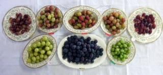 ֤ɤ̼Ȣ2kg (500g4)