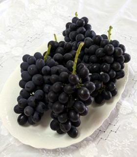 ꡼塼٥(Хåե)2kg