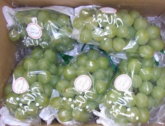 ハニーヴィーナス | 極甘ぶどう - 山梨県のぶどう農家の通販39年