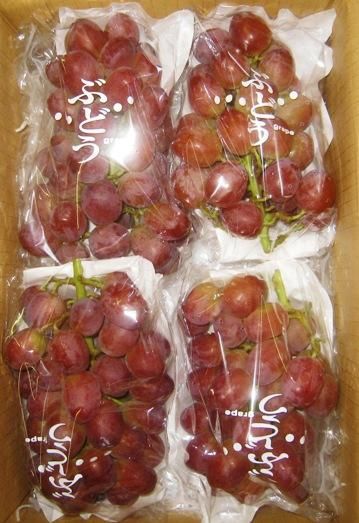 甲斐路 約2kg | 高級ぶどう - 山梨県のぶどう農家の通販39年