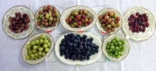 ֤ɤ̼Ȣ4kg (500g8)