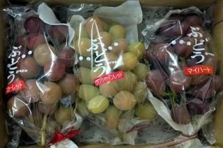  (åȡ󥷥㥤åɡޥϡ)