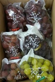 <img class='new_mark_img1' src='https://img.shop-pro.jp/img/new/icons21.gif' style='border:none;display:inline;margin:0px;padding:0px;width:auto;' />֥ɥȥܥå 4kg