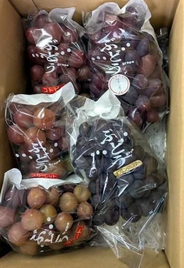 桃農家、葡萄農家 山下果実園 #農業 #産地直送 #桃農家 #葡萄農家 #桃 #農girl農