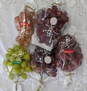 ڸϤ餷֥ɥȥܥå 3kg