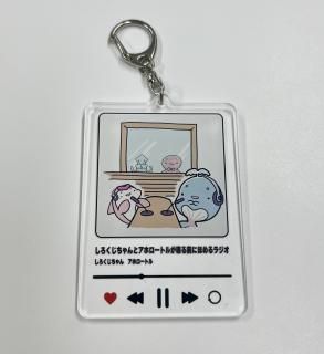ڤ֥ۡ饸륭ۥ