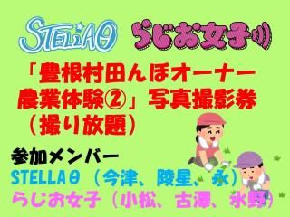 STELLAȡ餸ҡۡ˭¼Ĥܥʡθ׼̿Ʒʻ