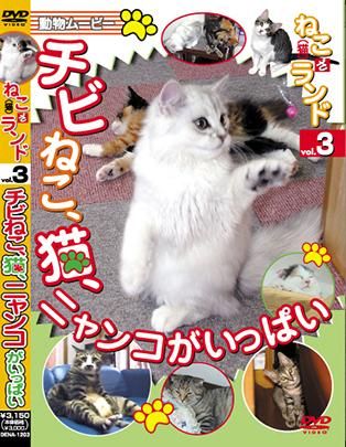 Dvd ねこ 猫 ざ ランド3 チビねこ 猫 ニャンコがいっぱい Dena 13 Dvd ねこ 猫 ざ ランド3 チビねこ 猫 ニャンコがいっぱい Dena 13