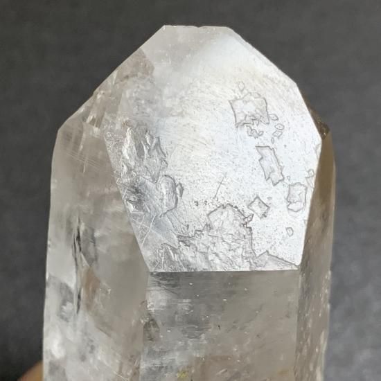 コロンビアレムリアン コンパニオンクリスタル 【公式通販】