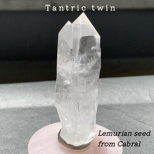 レムリアンシード・タントリックツインクリスタル(カブラル産)マスタークリスタル！ レムリアンシード・タントリックツインクリスタル(カブラル産