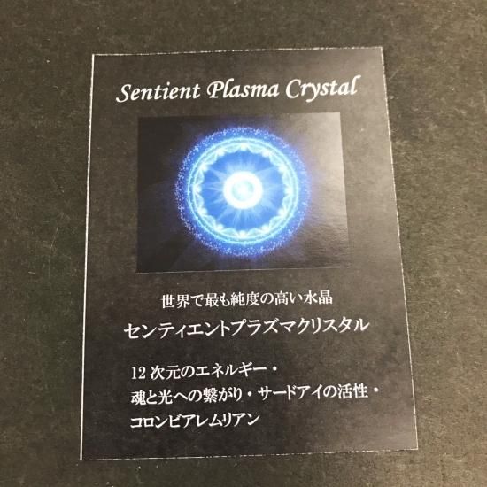 透明な世界☆】【限定50％OFF】センティエントプラズマ