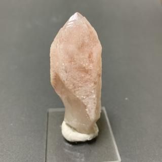 ブラジル ディアマンティーナ産ドリームシクル - feel