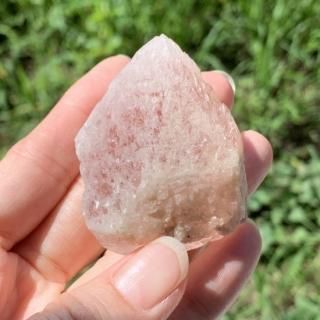 ☆爆レア】ブラジル, ディアマンティーナ産『ドリームシクル