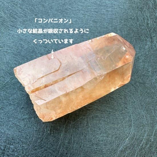 カブラル産ゴールデンレムリアン 自立型、タイムリンク