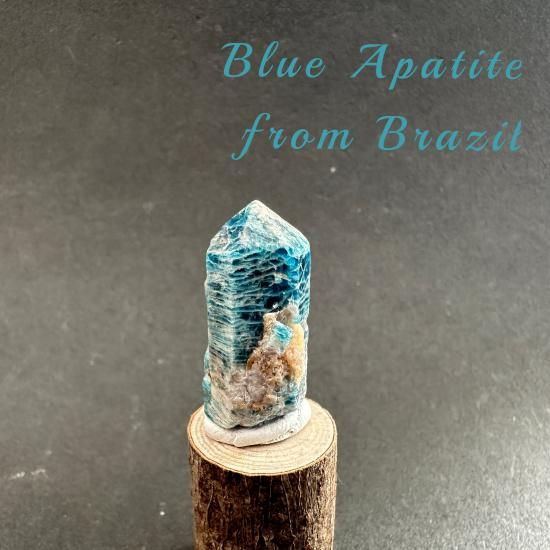 綺麗やった！小粒のアパタイトさん アパタイト1粒 12mm(APATITE): 『岩座(いわくら)』公式通販
