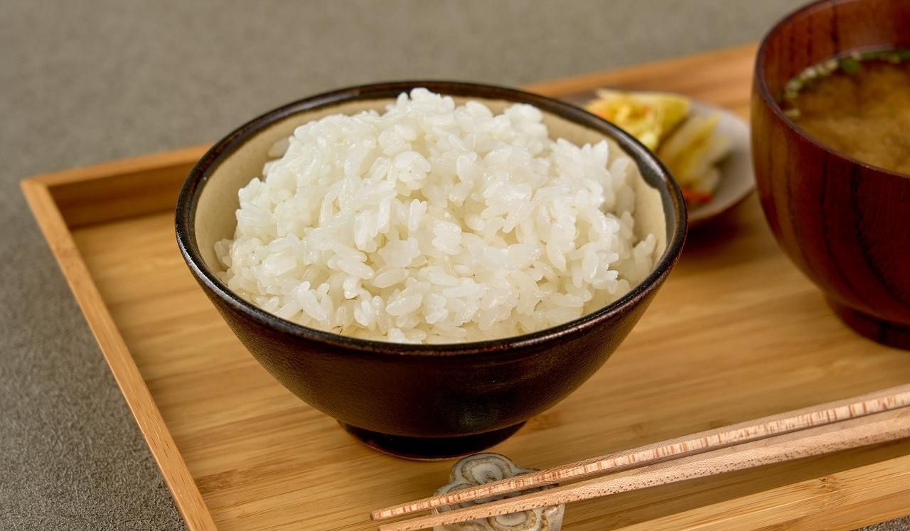 ご飯