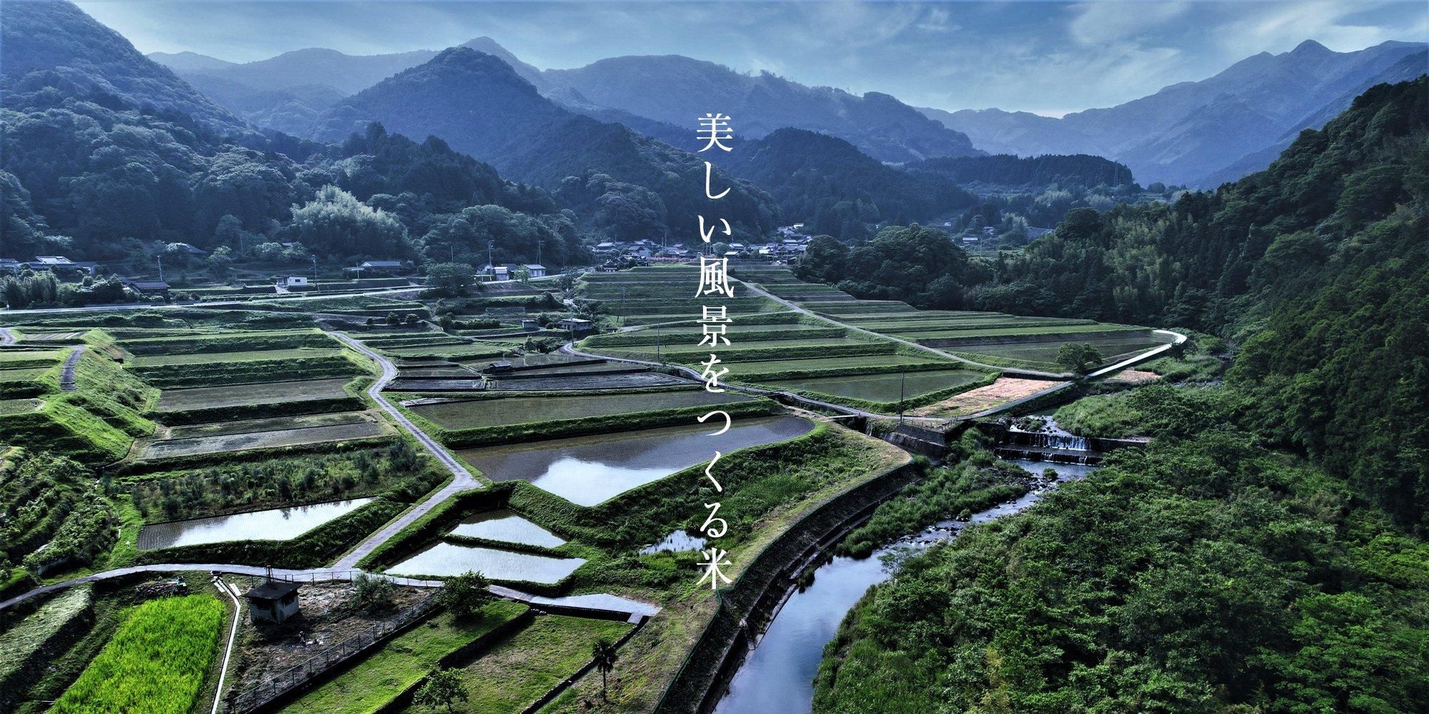 美しい風景をつくる米