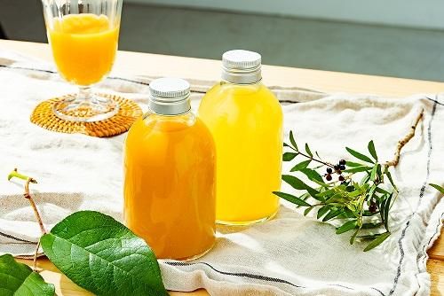 J－250 | ドリンク・飲料瓶 | 通販サイト-ガラスびん.com