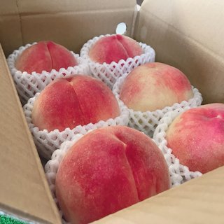 生産量日本一の桃【2�】（1箱 5〜6玉）通販