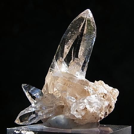 ƥåϥӥå 饹<br>Tessin habit cluster