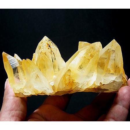 ヒマラヤ、ゴールデンヒーラークラスターGolden healer cluster ヒマラヤ、ゴールデンヒーラークラスターGolden healer cluster