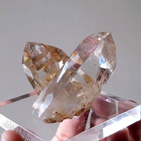 Golden Healer Twin＜ゴールデンヒーラーツイン＞ - Himalayan