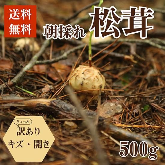 岩手・岩泉産 朝採れ松茸【500g / キズ・開き】 - 岩泉マルシェ ｜岩手