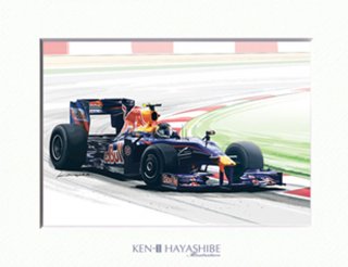 Sebastian Vettel 2009 Red Bull