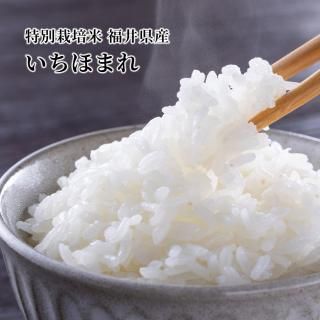 ̤̺ ʡ温ۤޤ